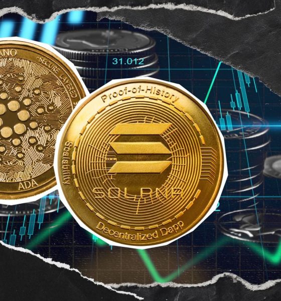 'Time to Get Cooking': Cardano and Solana Founders Tease Cross-Chain Bridge
