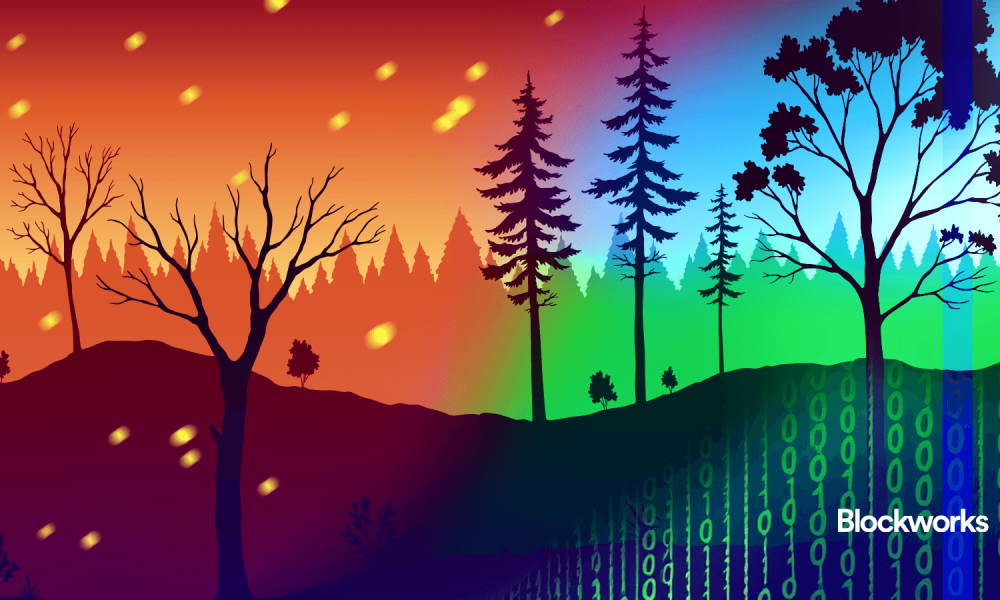 Too funded to fail: Crypto needs a forest fire