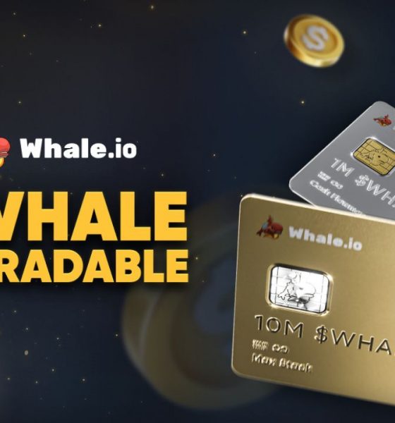 Whale.io Launches WHALE NFT Collection on Solana: New Pre-Market Phase Ahead of TGE