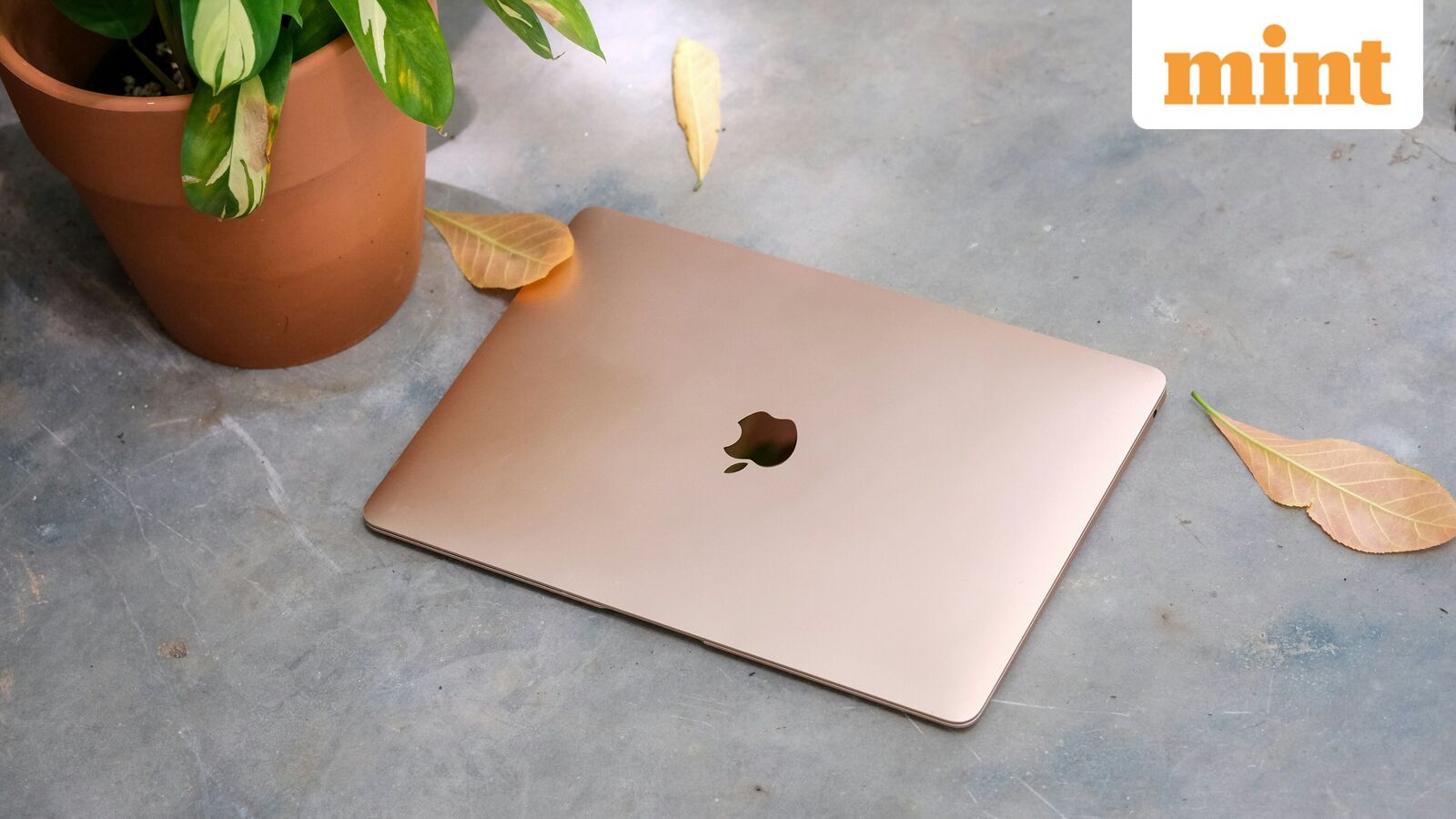Apple may introduce budget MacBook with A18 Pro chip in 2026: Report
