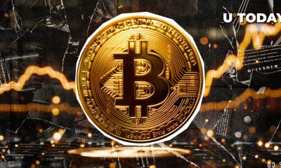 Bitcoin Dominance Logs Rapid Plunge as XRP, SHIB, and Other Altcoins Surge