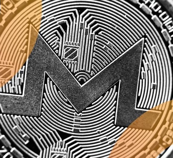 Privacy Coins Monero, Dash and Dusk Defy Crypto Market Slump