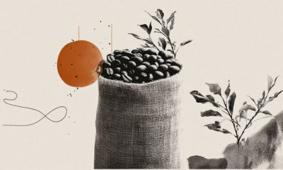 A commodity without a market: the hazelnut shock