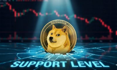 Dogecoin (DOGE) Gives Back Gains, Support Level Under Spotlight