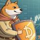 Dogecoin shows accumulation signs - Will DOGE still fall to $0.080?