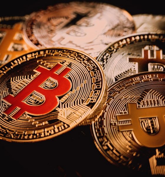 Elliot Wave Analyst Predicts Bitcoin Price Will Crash In Final Move, What’s The Target?