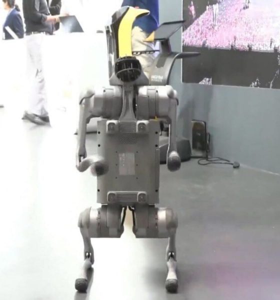 Galgotias University AI Summit controversy: Can you buy Unitree Go2 robot dog in India? Check features, price and more