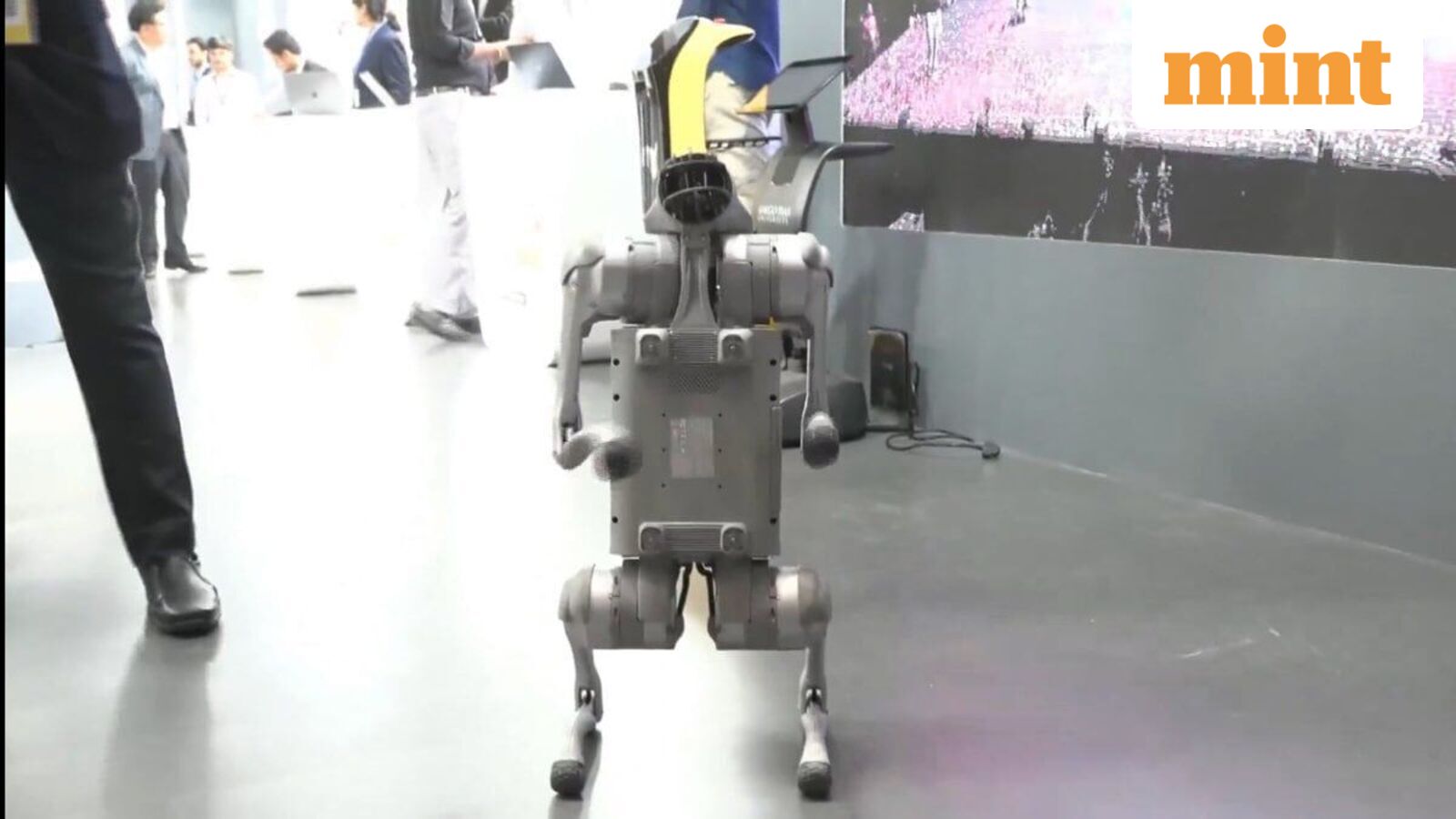 Galgotias University AI Summit controversy: Can you buy Unitree Go2 robot dog in India? Check features, price and more