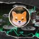 Shiba Inu (SHIB) Eyes $0.0000065 Target Ahead of Friday the 13th CPI Report