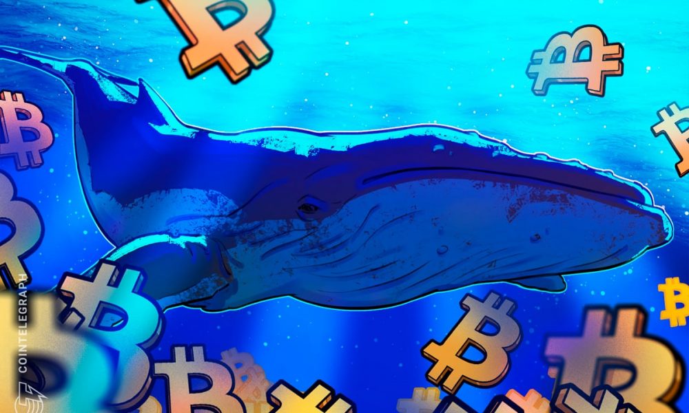 Bitcoin Eyes $90K As Whales Devour 20x Daily BTC Supply In Just 30 Days