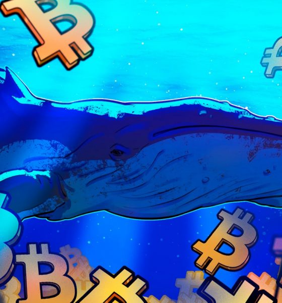 Bitcoin Eyes $90K As Whales Devour 20x Daily BTC Supply In Just 30 Days