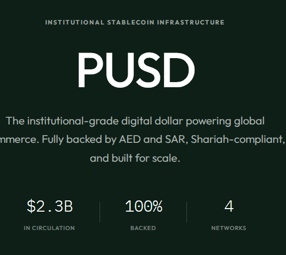 Shariah-Compliant Stablecoin Moves Into MidEast Arena