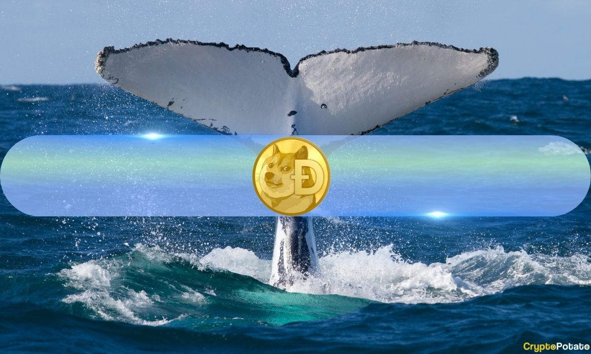 Dogecoin (DOGE) Whales Quietly Accumulate as Holdings Hit Record Levels