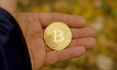 Bitcoin Price Breaks 14-Year Support For The First Time In History, Analyst Predicts $50,000 Target