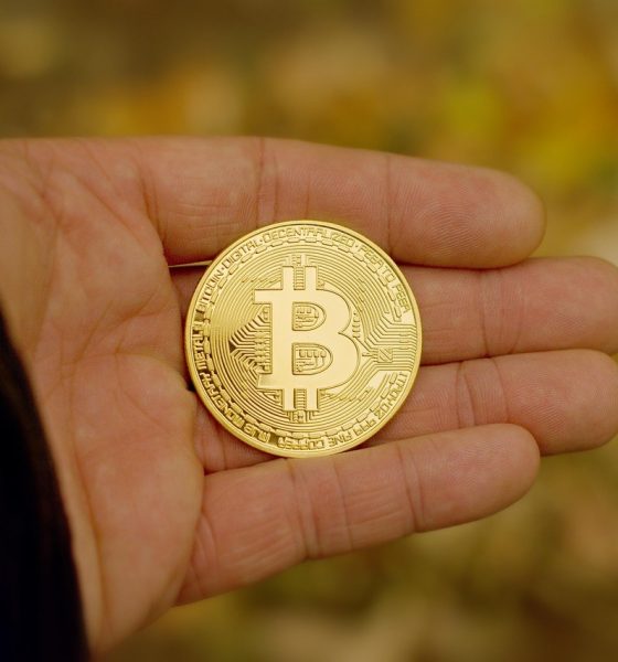 Bitcoin Price Breaks 14-Year Support For The First Time In History, Analyst Predicts $50,000 Target