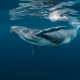 Bitcoin Whale-Retail Delta Drops To ETF-Era Lows As Smart Money Turns Cautious