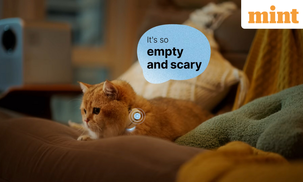 Chinese startup claims it developed an AI collar that translates human words into barks and meows