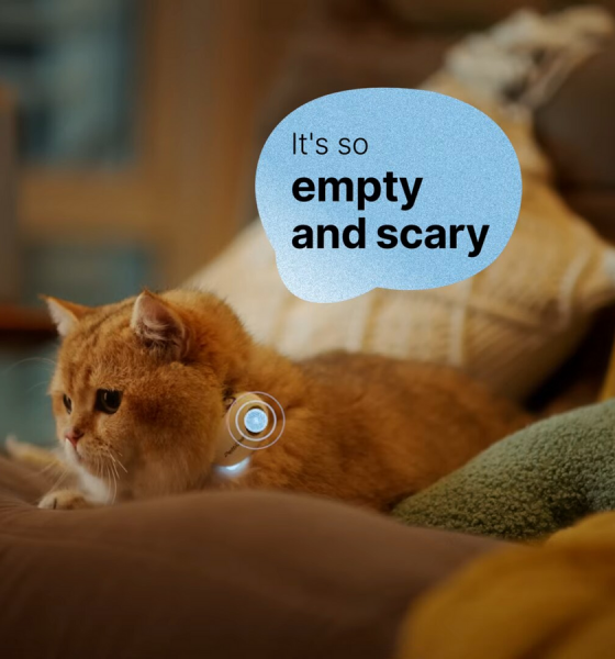Chinese startup claims it developed an AI collar that translates human words into barks and meows