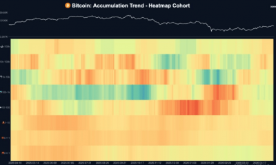 Nearly 80% Of Bitcoin Supply Hasn't Moved As Long-Term Holders Tighten Grip