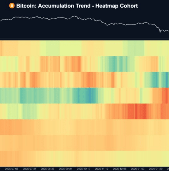 Nearly 80% Of Bitcoin Supply Hasn't Moved As Long-Term Holders Tighten Grip