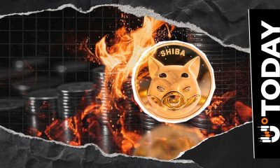 Shiba Inu Burn Rate Surges 812% as Price Signals Rally