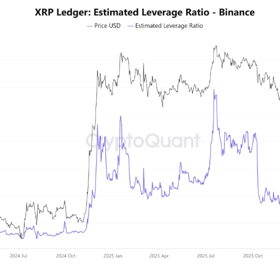 XRP Leverage Flush Points To Possible Squeeze