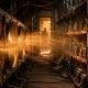 Brazilian gang raid reveals a new crypto-crime model: turning stolen power into digital money