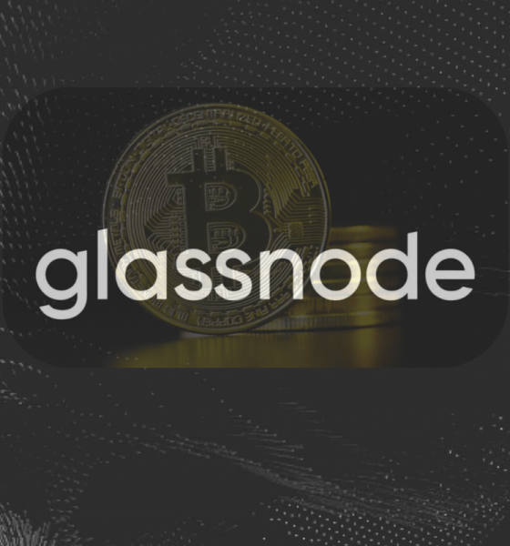Bitcoin Stabilizes Near Key Zone, But Glassnode Warns Capital Flows Remain Weak