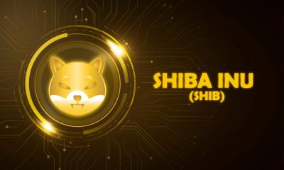Shiba Inu (SHIB) Is in Best Possible Recovery State: Analyzing Next Price Targets