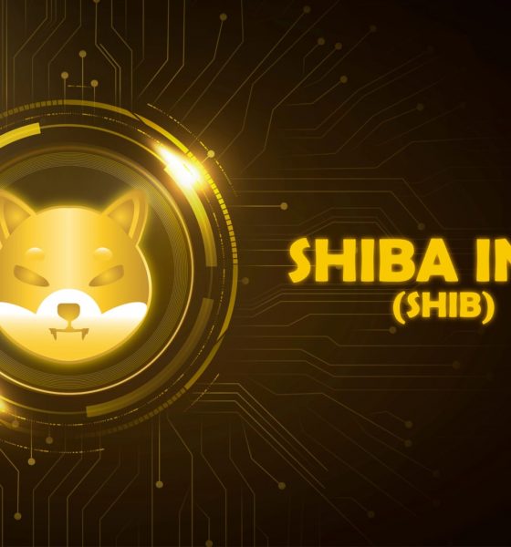 Shiba Inu (SHIB) Is in Best Possible Recovery State: Analyzing Next Price Targets
