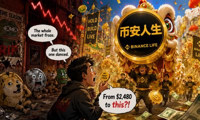 Binance Life Memecoin