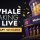 Whale.io Launches Whale Printer: WHALE Token Staking