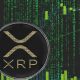XRP Ledger Payments Spike to 500 Million Threshold, but Yet to Break It