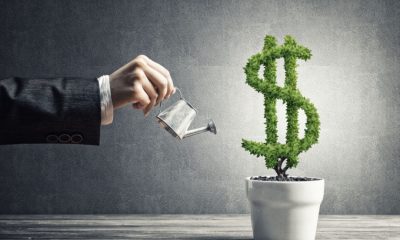 How FII, DII, Client and PRO Positions Predict Market Direction
