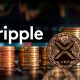 Ripple Vice President Heads to Key Event as XRP Ledger Momentum Builds