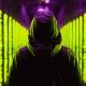 US Homeland Security Information Network Hit by Cyber Intruders, Exposing Sensitive Government Data