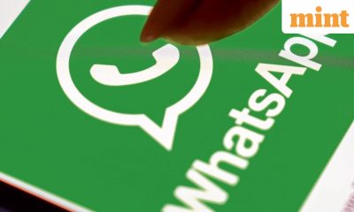 WhatsApp usernames could open the platform to impersonations and scams, warn cybersecurity experts: Here is how